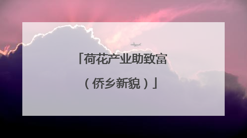荷花产业助致富（侨乡新貌）
