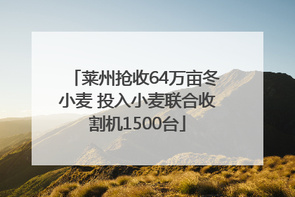 莱州抢收64万亩冬小麦 投入小麦联合收割机1500台