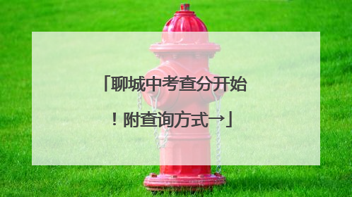 聊城中考查分开始！附查询方式→
