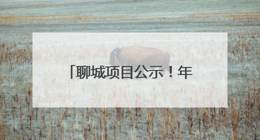 聊城项目公示！年处理10万套废旧车用动力锂电池包