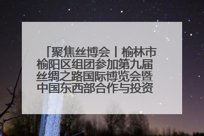 聚焦丝博会丨榆林市榆阳区组团参加第九届丝绸之路国际博览会暨中国东西部合作与投资贸易洽谈会