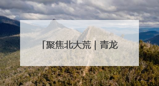 聚焦北大荒｜青龙山农场有限公司：基层民兵参与农业环境综合治理显效