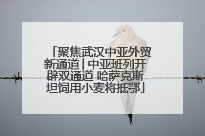 聚焦武汉中亚外贸新通道│中亚班列开辟双通道 哈萨克斯坦饲用小麦将抵鄂