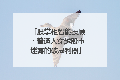 股掌柜智能投顾：普通人穿越股市迷雾的破局利器