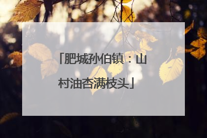 肥城孙伯镇：山村油杏满枝头