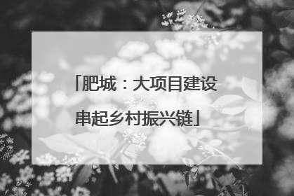 肥城：大项目建设串起乡村振兴链