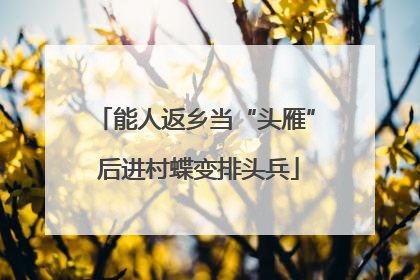 能人返乡当“头雁” 后进村蝶变排头兵