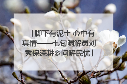 脚下有泥土 心中有真情——七旬调解员刘秀保深耕乡间解民忧