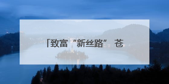 致富“新丝路” 苍溪县首批蚕茧迎丰收
