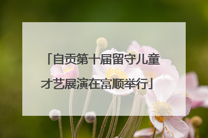 自贡第十届留守儿童才艺展演在富顺举行
