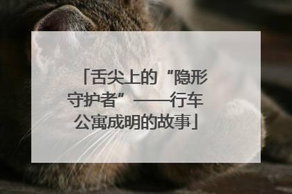 舌尖上的“隐形守护者”——行车公寓成明的故事