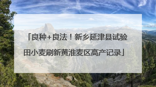 良种+良法！新乡延津县试验田小麦刷新黄淮麦区高产记录