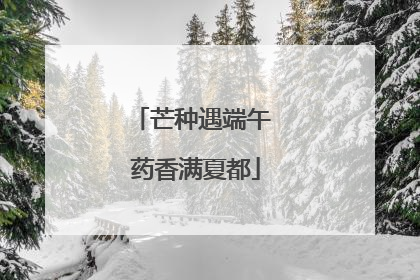 芒种遇端午 药香满夏都