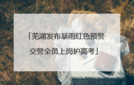 芜湖发布暴雨红色预警 交警全员上岗护高考
