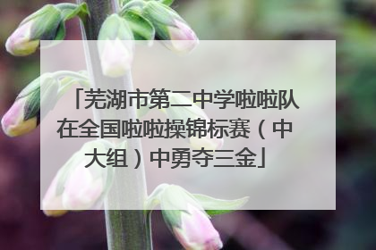 芜湖市第二中学啦啦队在全国啦啦操锦标赛（中大组）中勇夺三金
