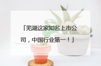 芜湖这家知名上市公司，中国行业第一！