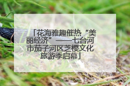 花海雅趣催热“美丽经济”——七台河市茄子河区芝樱文化旅游季启幕
