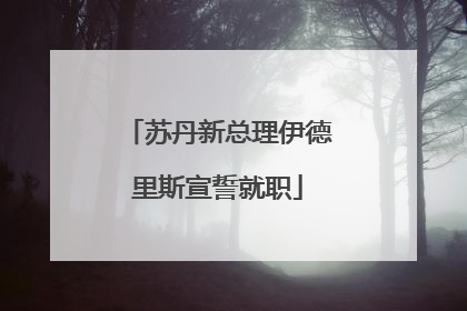 苏丹新总理伊德里斯宣誓就职