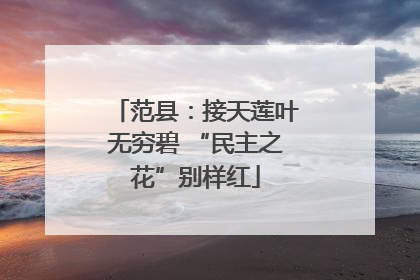 范县：接天莲叶无穷碧 “民主之花”别样红