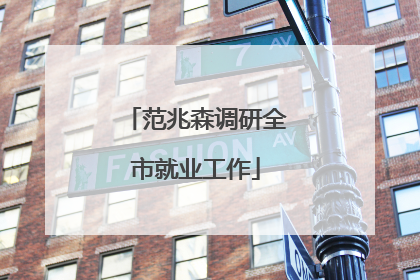 范兆森调研全市就业工作
