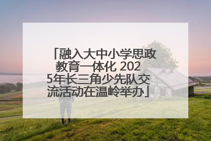 融入大中小学思政教育一体化 2025年长三角少先队交流活动在温岭举办