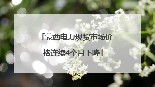 蒙西电力现货市场价格连续4个月下降