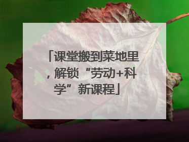 课堂搬到菜地里，解锁“劳动+科学”新课程