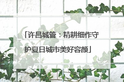 许昌城管：精耕细作守护夏日城市美好容颜