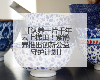 认养一片千年云上梯田！紫鹊界推出创新公益守护计划