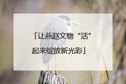 让燕赵文物“活”起来绽放新光彩