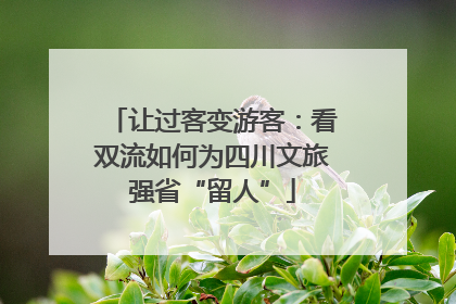 让过客变游客：看双流如何为四川文旅强省“留人”