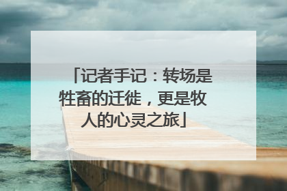 记者手记：转场是牲畜的迁徙，更是牧人的心灵之旅