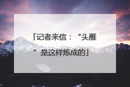 记者来信：“头雁”是这样炼成的
