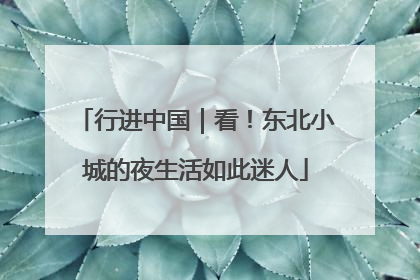 行进中国｜看！东北小城的夜生活如此迷人