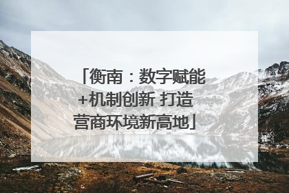 衡南：数字赋能+机制创新 打造营商环境新高地