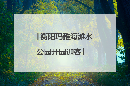 衡阳玛雅海滩水公园开园迎客