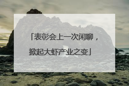 表彰会上一次闲聊，掀起大虾产业之变