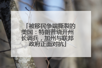被移民争端撕裂的美国：特朗普绕开州长调兵，加州与联邦政府正面对抗