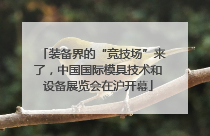 装备界的“竞技场”来了，中国国际模具技术和设备展览会在沪开幕