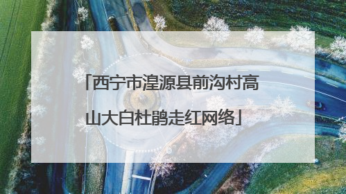 西宁市湟源县前沟村高山大白杜鹃走红网络