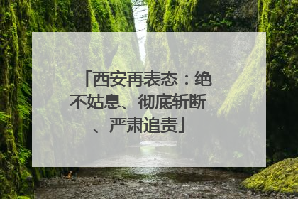 西安再表态：绝不姑息、彻底斩断、严肃追责