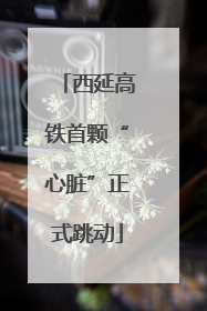西延高铁首颗“心脏”正式跳动