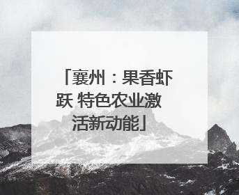 襄州：果香虾跃 特色农业激活新动能