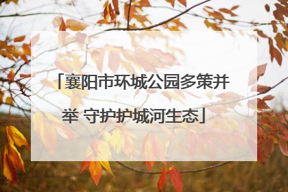 襄阳市环城公园多策并举 守护护城河生态