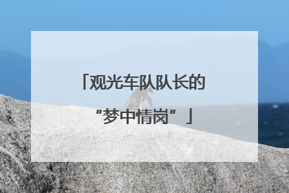 观光车队队长的“梦中情岗”