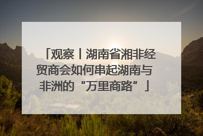 观察丨湖南省湘非经贸商会如何串起湖南与非洲的“万里商路”