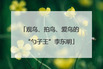 观鸟、拍鸟、爱鸟的“勺子王”李东明
