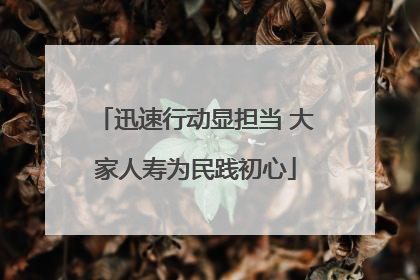 迅速行动显担当 大家人寿为民践初心