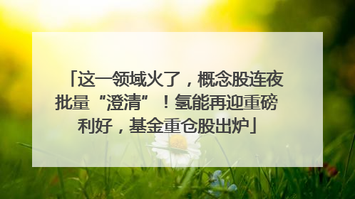 这一领域火了，概念股连夜批量“澄清”！氢能再迎重磅利好，基金重仓股出炉
