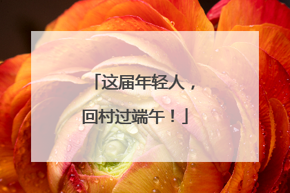 这届年轻人，回村过端午！
